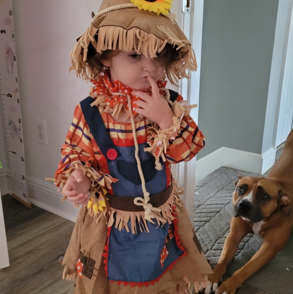 Scarecrow Halloween Costume 3T